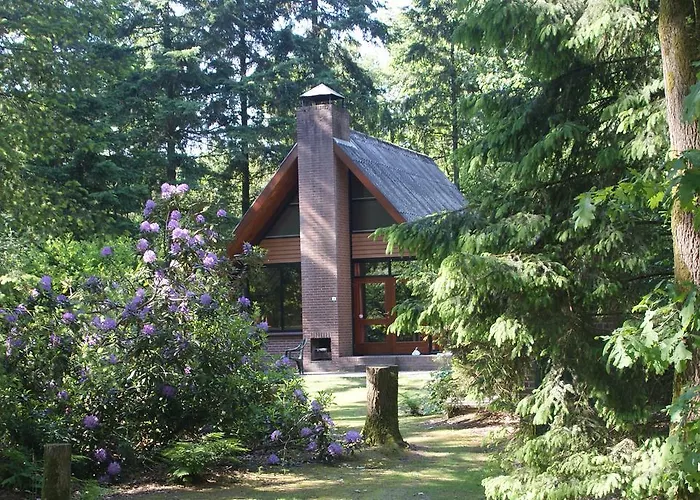 Bungalowpark Herperduin פארק נופש Herpen